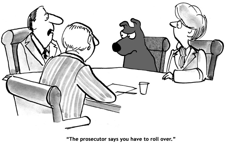 shutterstock_697872337_plea_bargaining